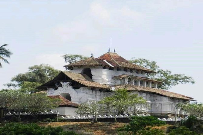 Kandy City Tour - Tea country at Hanthana Mountain Range