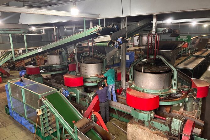 Kandy City Tour By Best Guide Lanka Tours - New Giragama Tea Factory: see how Ceylon tea is made