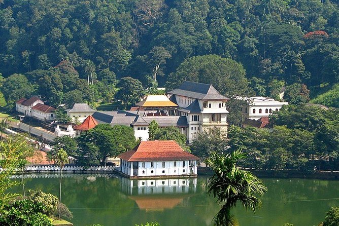 Kandy City Tour by Lux Tours Lanka - Why this private Kandy tour can work well