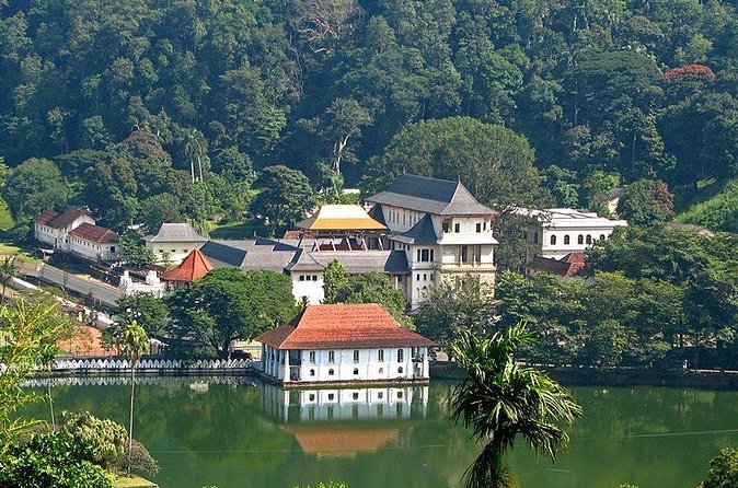 Kandy City Tour by Lux Tours Lanka - Kandy Lake is best for a slow pause