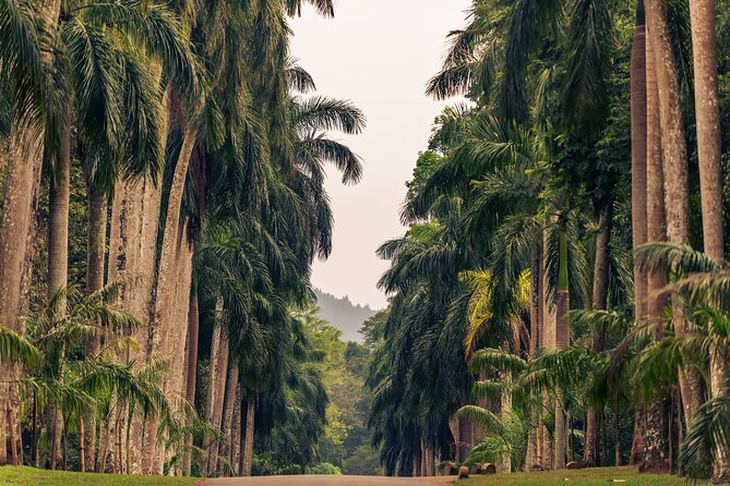 Kandy City Tour from Colombo - Lunch and free time in central Kandy
