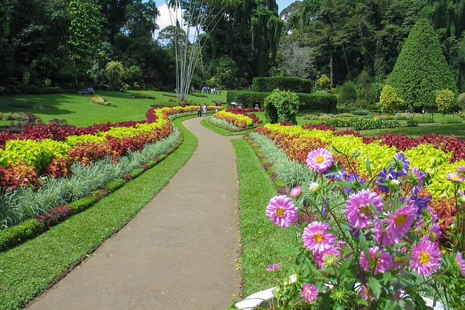 Kandy City Tour from Colombo - Kandy market and the city center