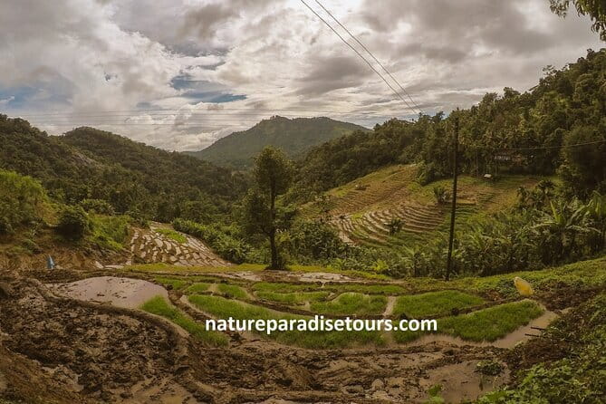 Kandy City Tour in a TukTuk - Big Buddha and a 15-minute Kandy viewpoint