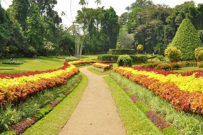 Kandy City Tour with Mahaweli - The gem demonstration needs a clear head