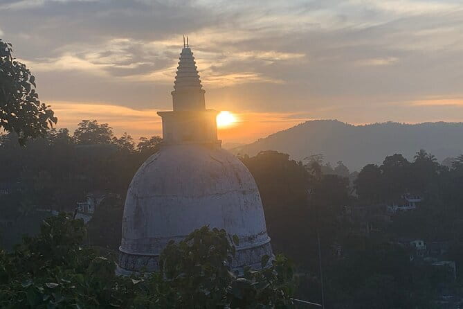 Kandy City Tour With Modern Tuk Tuk - Royal Botanic Gardens: two hours among tropical plants