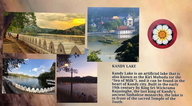 Kandy: City Tour with Temple of the Tooth & Tea Garden - Why this Kandy tour feels personal