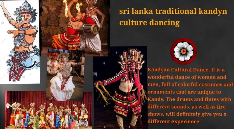 Kandy: City Tour with Temple of the Tooth & Tea Garden - What the $3.12 price really means