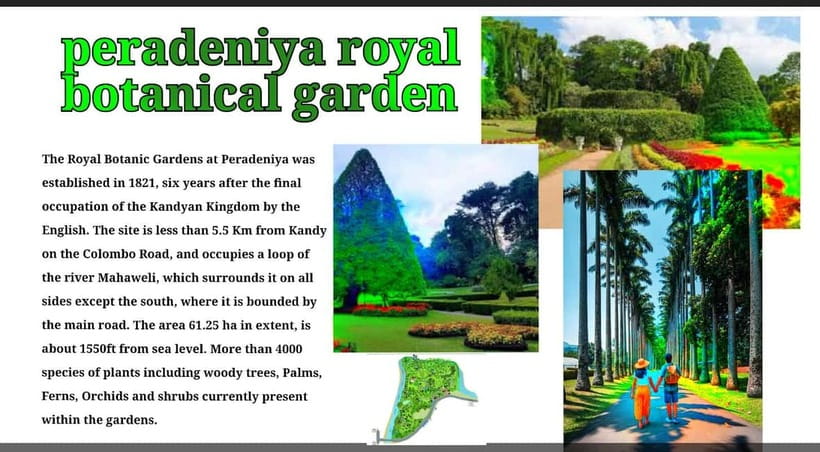 Kandy: City Tour with Temple of the Tooth & Tea Garden - Starting in Kandy by tuk tuk