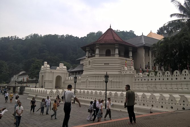 Kandy Day Tour From Colombo - Kandy Lake and the hilltop viewpoint
