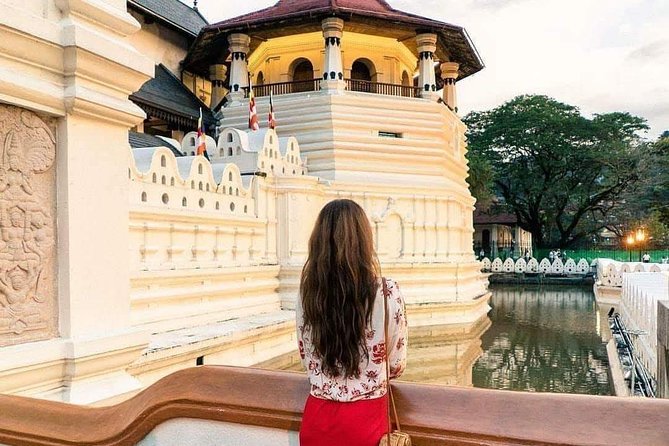 Kandy Day Tour From Colombo - Geragama Tea Factory and the Ceylon tea connection