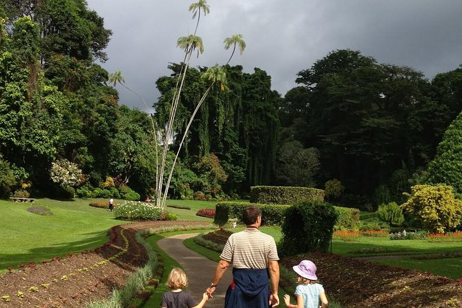 Kandy Day Tour From Colombo - Guides, drivers, and the value of flexibility