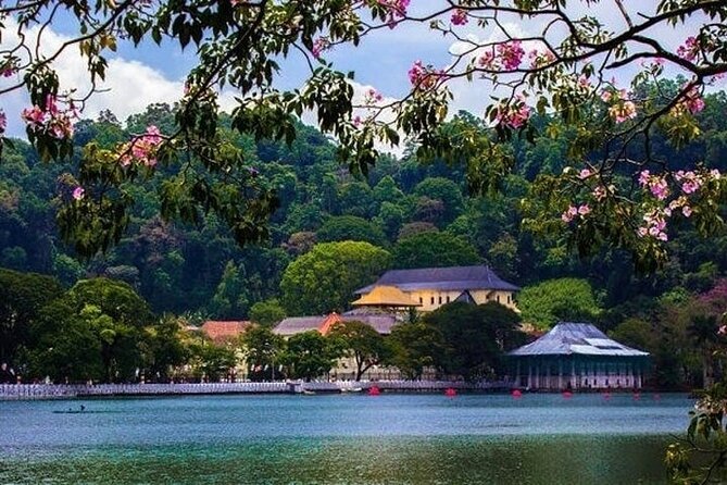 Kandy Day trip from Kalutara Beruwala Bentota Aluthgama Wadduwa - Why Kandy makes sense as a long day from the coast