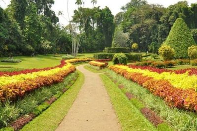 Kandy Day trip from Kalutara Beruwala Bentota Aluthgama Wadduwa