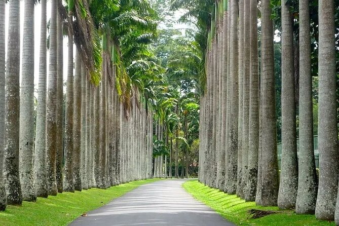 Kandy Day trip from Kalutara Beruwala Bentota Aluthgama Wadduwa - Who will get the most from this Kandy trip