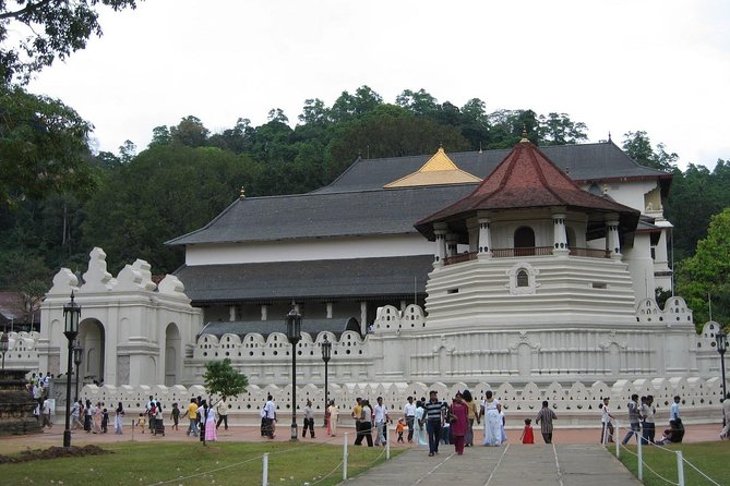Kandy Day Trip with Tooth Relic Temple & Unique Attractions - Why this Kandy day trip works from Bentota