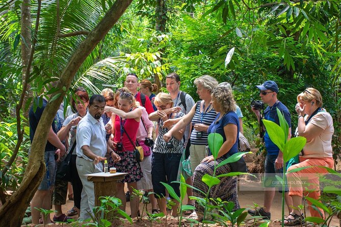 Kandy Day Trip with Tooth Relic Temple & Unique Attractions - Lunch, water, and what the $160 price covers