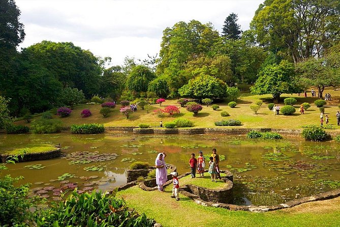Kandy Day Trip with Tooth Relic Temple & Unique Attractions - The drivers can make or break the day