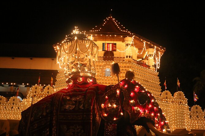 Kandy Full-Day Tour - Why this Colombo to Kandy day trip makes sense
