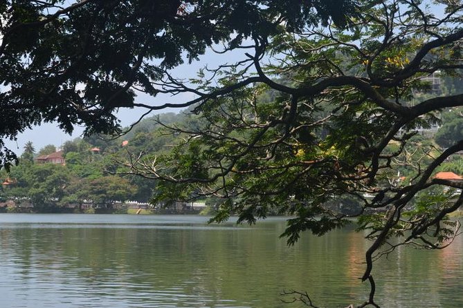 Kandy Full-Day Tour - Tea country around Kadugannawa