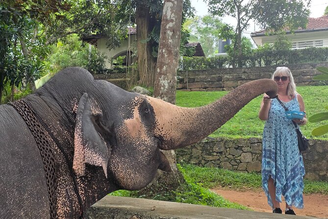Kandy Full Day Tour Private All Inclusive - Key points to know before booking