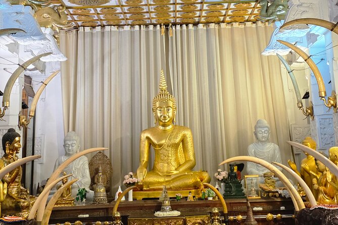 Kandy Full Day Tour Private All Inclusive - Why this Bentota to Kandy day trip works