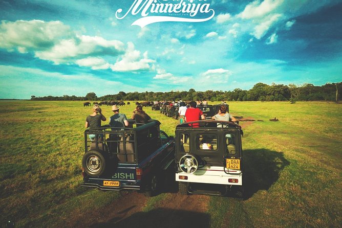 Kandy - Minneriya National park & Sigiriya Rock by tuk tuk tours - Lunch before Sigiriya and the extra cost