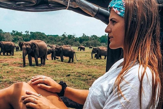 Kandy - Minneriya National park & Sigiriya Rock by tuk tuk tours - Minneriya National Park by safari jeep