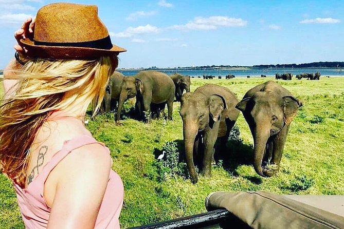 Kandy - Minneriya National park & Sigiriya Rock by tuk tuk tours - The return to Kandy
