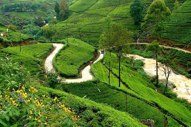 Kandy & Nuwara Eliya | 2 Days Tour - Why this private Kandy and Nuwara Eliya trip works