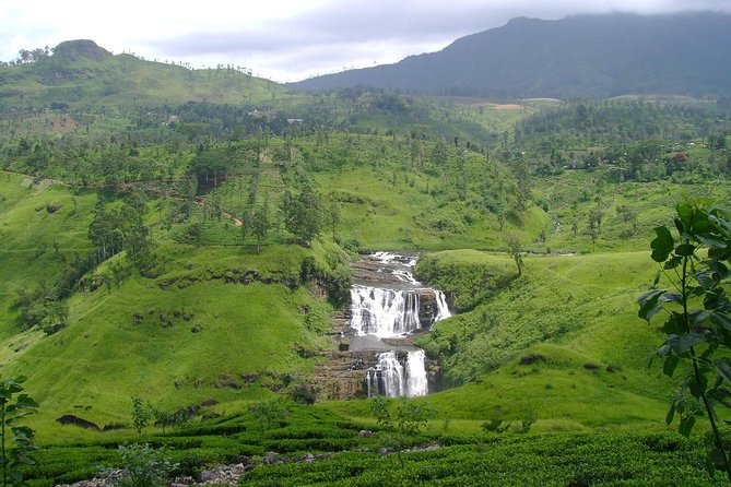 Kandy & Nuwara Eliya | 2 Days Tour - Getting your bearings in Kandy