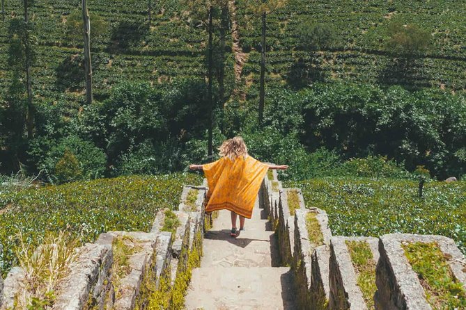 Kandy & Nuwara Eliya | 2 Days Tour - Inside the Temple of the Sacred Tooth Relic