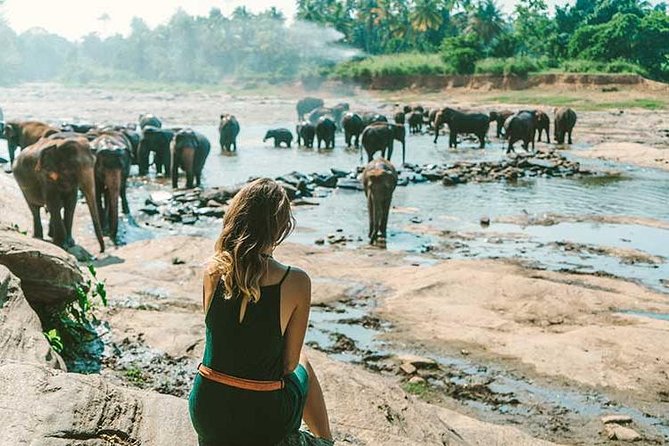 Kandy & Nuwara Eliya | 2 Days Tour - From Colombo to the spice garden