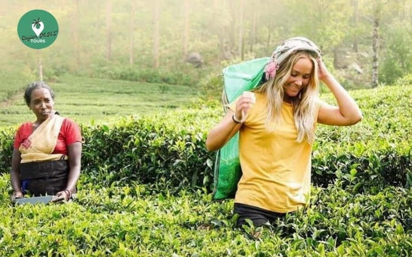 Kandy: Nuwara Eliya Day Explore by Tuk tuk with Local Guide - Why this Kandy day trip works