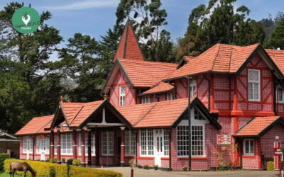 Nuwara Eliya Day Explore by Tuk tuk with Local Guide