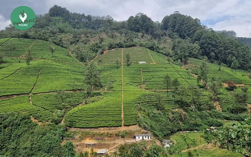 Kandy: Nuwara Eliya Day Explore by Tuk tuk with Local Guide - Nuwara Eliya, the Little England stop