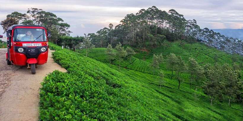 Kandy: Nuwara Eliya Day Trip - What makes this Kandy day trip worth considering