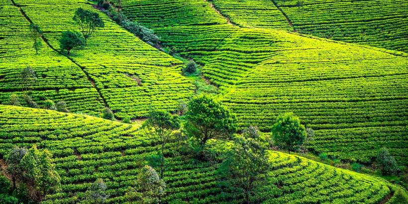 Kandy: Nuwara Eliya Day Trip - Ramboda Falls: the scenic high point