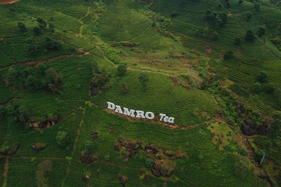 Kandy: Nuwara Eliya Day Trip - Gregory Lake and the April season