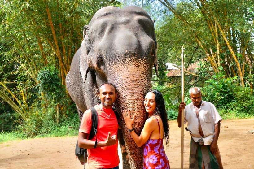 Kandy : Pinnawala Day Tour with Top Rated Local Guide - Key points at a glance