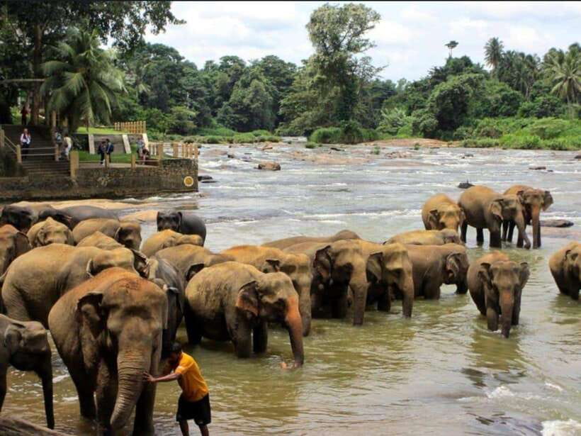 Kandy : Pinnawala Day Tour with Top Rated Local Guide - Kadugannawa Viewpoint and the road out of Kandy