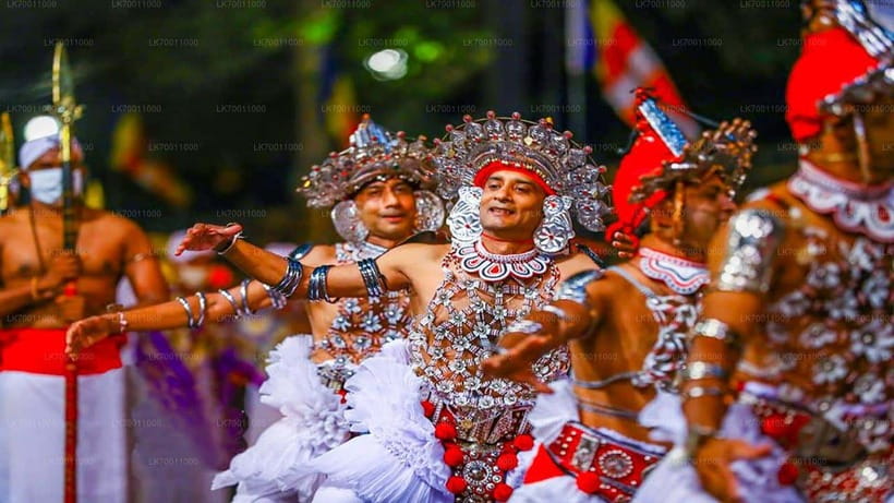 Kandy : Pinnawala Day Tour with Top Rated Local Guide - Why the guides matter more than the fixed route