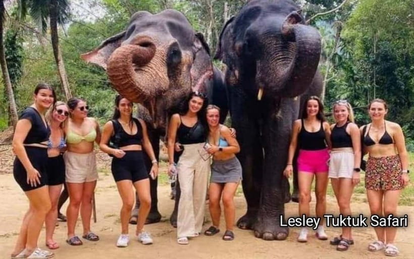 Kandy : Pinnawala Elephant Safari Private Guid Tuk Tuk Tour - Key points to know before booking
