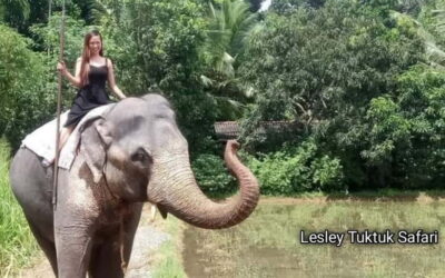 Pinnawala Elephant Safari Private Guid Tuk Tuk Tour