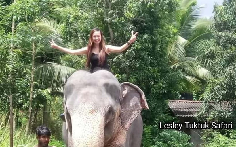 Kandy : Pinnawala Elephant Safari Private Guid Tuk Tuk Tour - Temples, statues, and Kandy’s living culture
