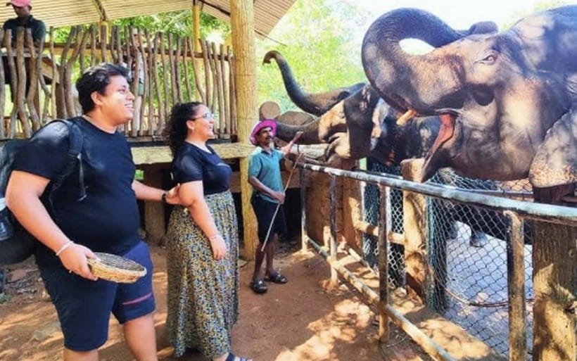Kandy : Pinnawala Elephant Safari Private Guid Tuk Tuk Tour - Viewpoints, bridges, and roadside life