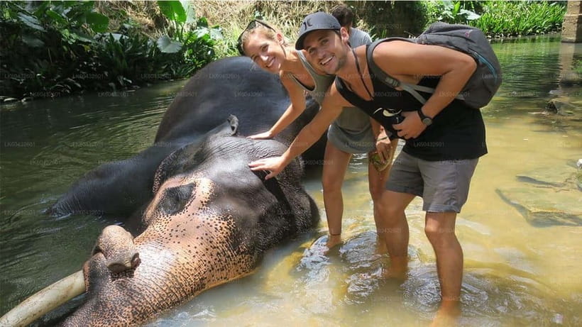 Kandy : Pinnawala Elephant Safari Private Guid Tuk Tuk Tour - What the $24 price really includes