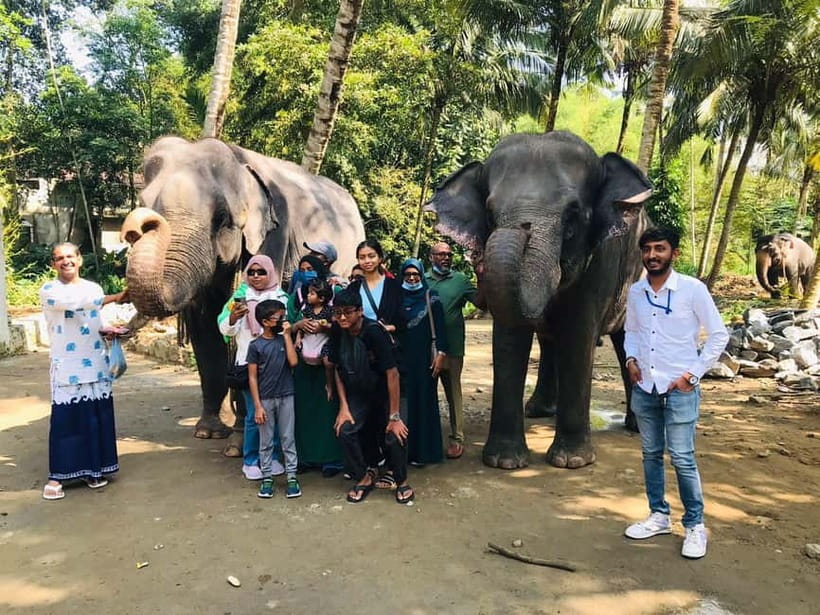 Kandy : Pinnawala Elephant Safari Private Guid Tuk Tuk Tour - Guides Lesley and Dimithu