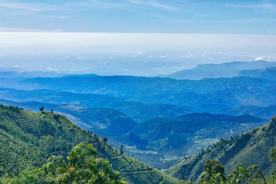 Kandy, Pinnawala Private Day Trip From The West Coast Beach - Should you book it?