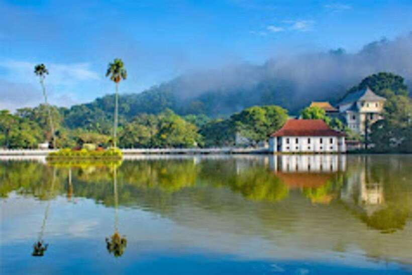Kandy & Pinnawala & Tea Factory Full Day Tour From Negombo - Who should book this Kandy day trip?