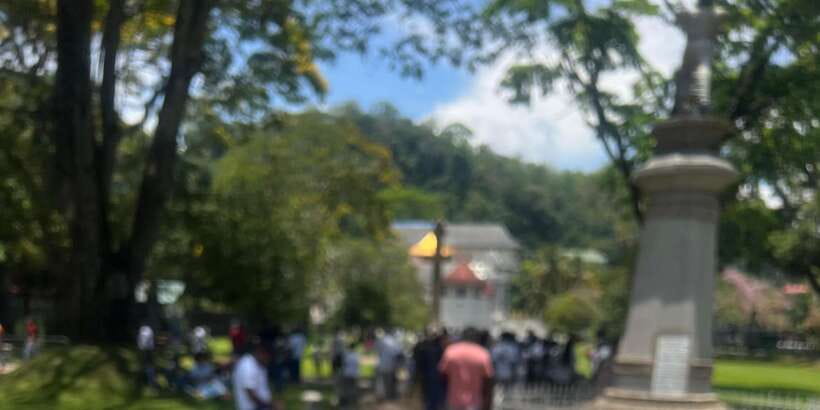 Kandy: Private City Highlights Guided Tour by Tuk-Tuk - How the tuk-tuk changes the day